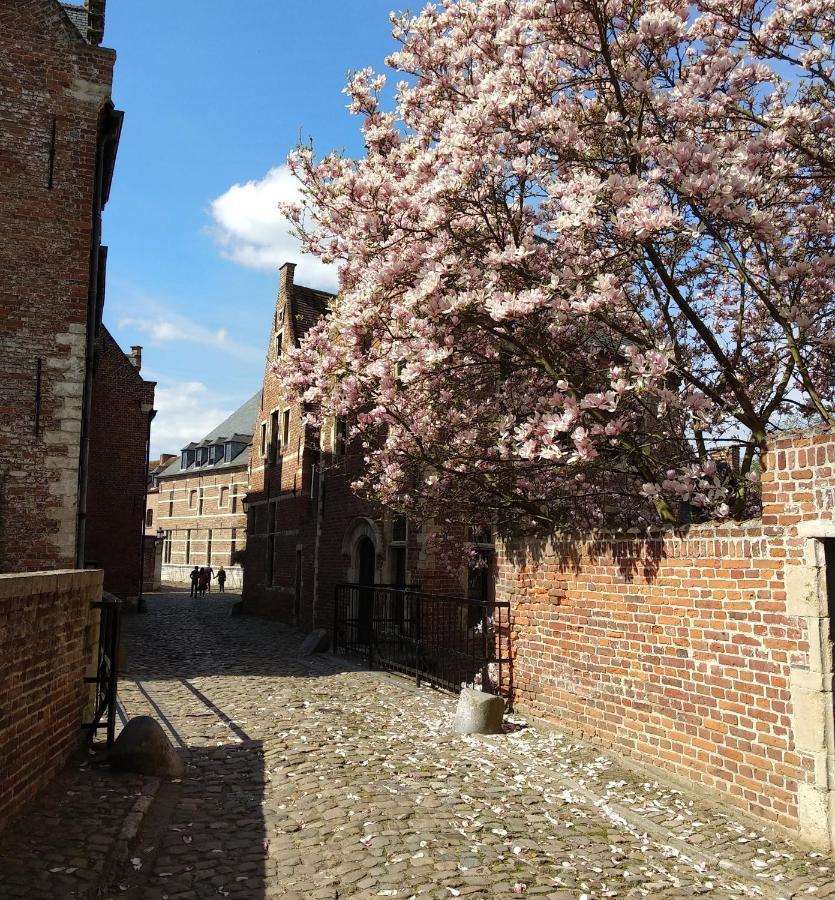 Begijnhof Leuven